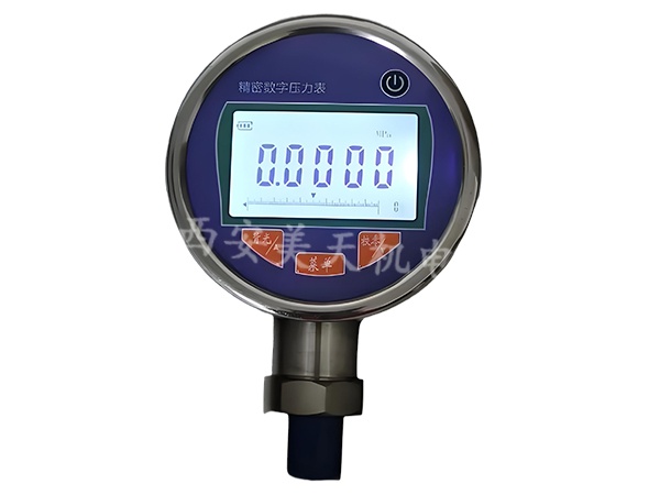 RGY-501数字压力表.jpg