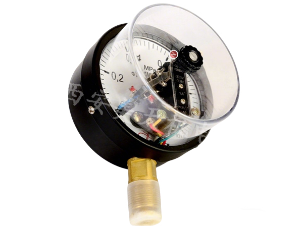 1768544211570579.jpg 1.jpg