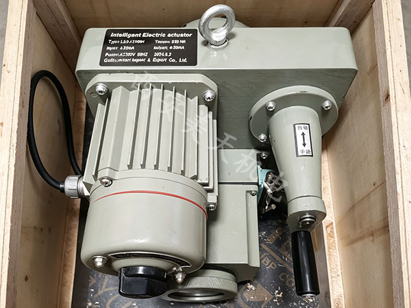 LSDJ-3100H-2.jpg