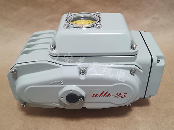 ulli-25.jpg